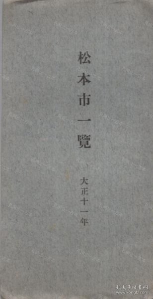 价可议 松本市一览 大正11年 长野县 nmwznwzn 松本市一览 大正11年 长野県