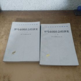 罗马帝国社会经济史 上下