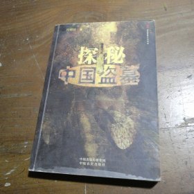 正版探秘中国盗墓月明日  著中原农民出版社