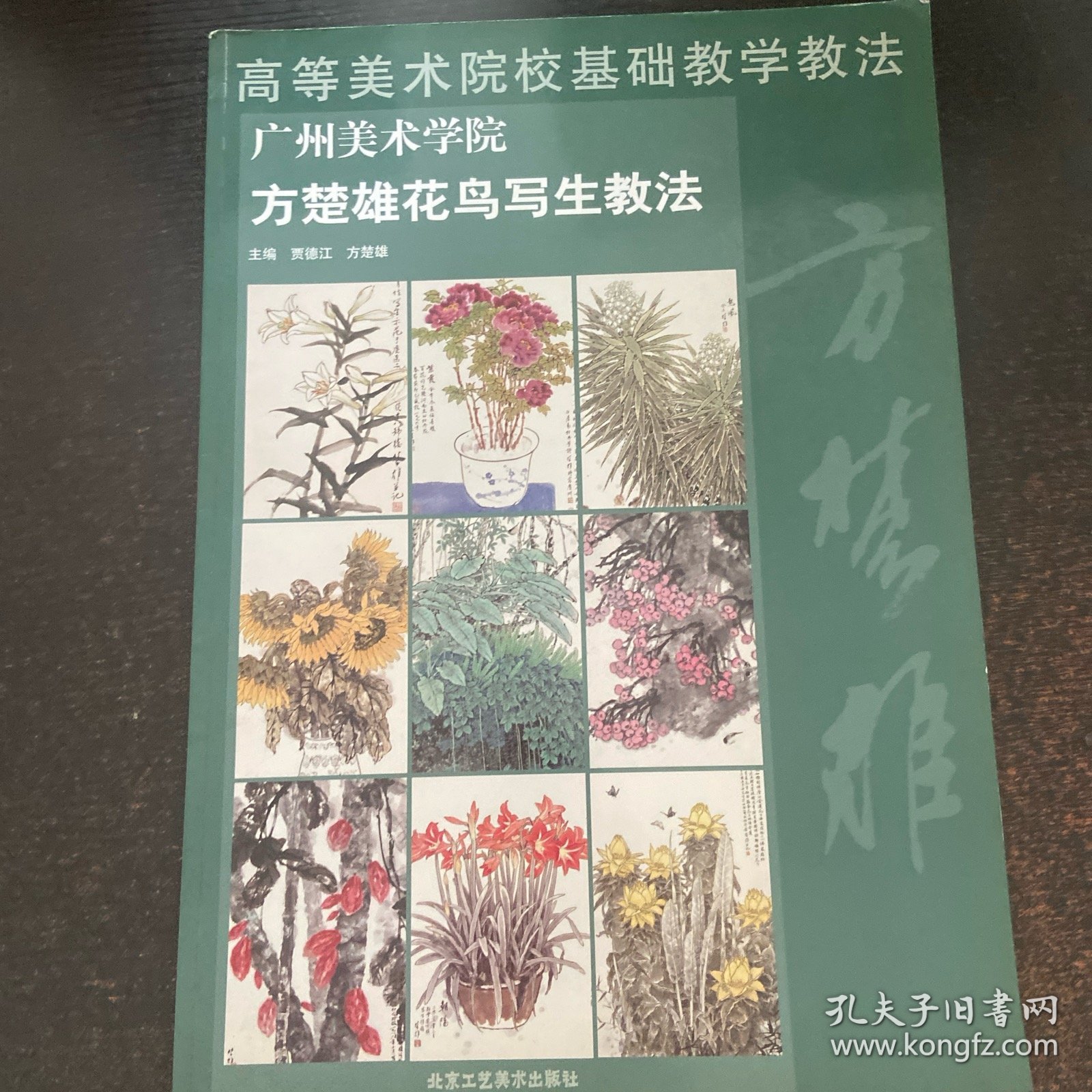 高等美术院校基础教学教法，广州美院方楚雄花鸟写生教学