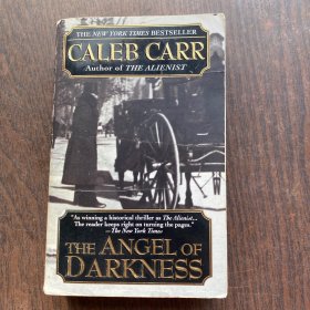 The Angel of Darkness      英文原版现货实拍