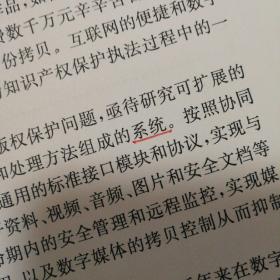 数字媒体的版权管理与控制【封底封面自然旧。封底右上角尖瑕疵见图。几页书口边缘磕碰伤见图。前言页有俩字下划线。其他无勾画。仔细看图】