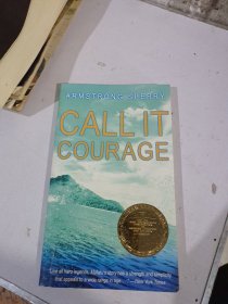 Call It Courage勇气