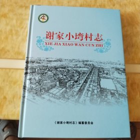 谢家小塆村志（黄冈路口镇，省级先进村）