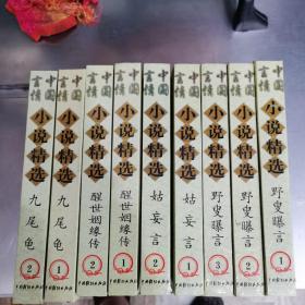 中国言情小说精选全九册