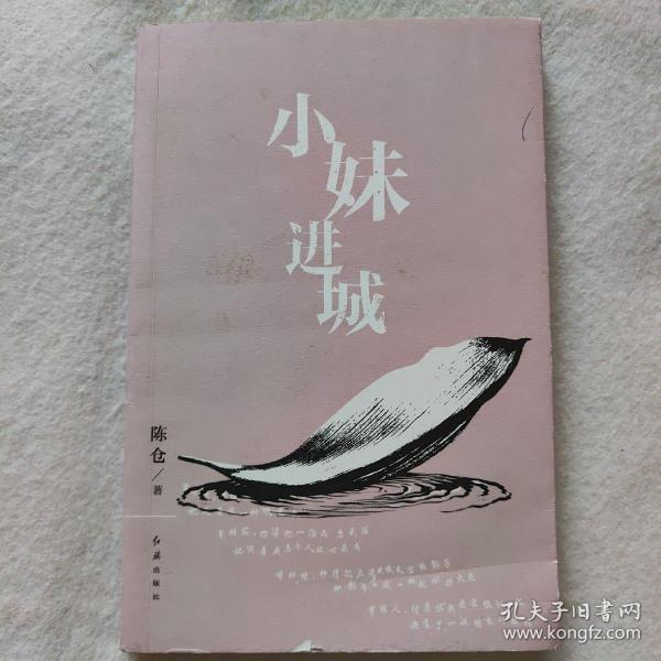 小妹进城