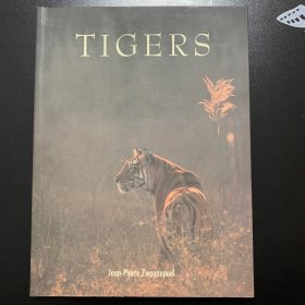 TIGERS外文原版