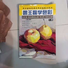 跟王磊学色彩