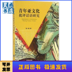 青年亚文化批评话语研究