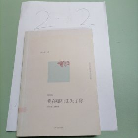 我在哪里丢失了你：范小青短篇小说精选集第四辑：2006年～2009年