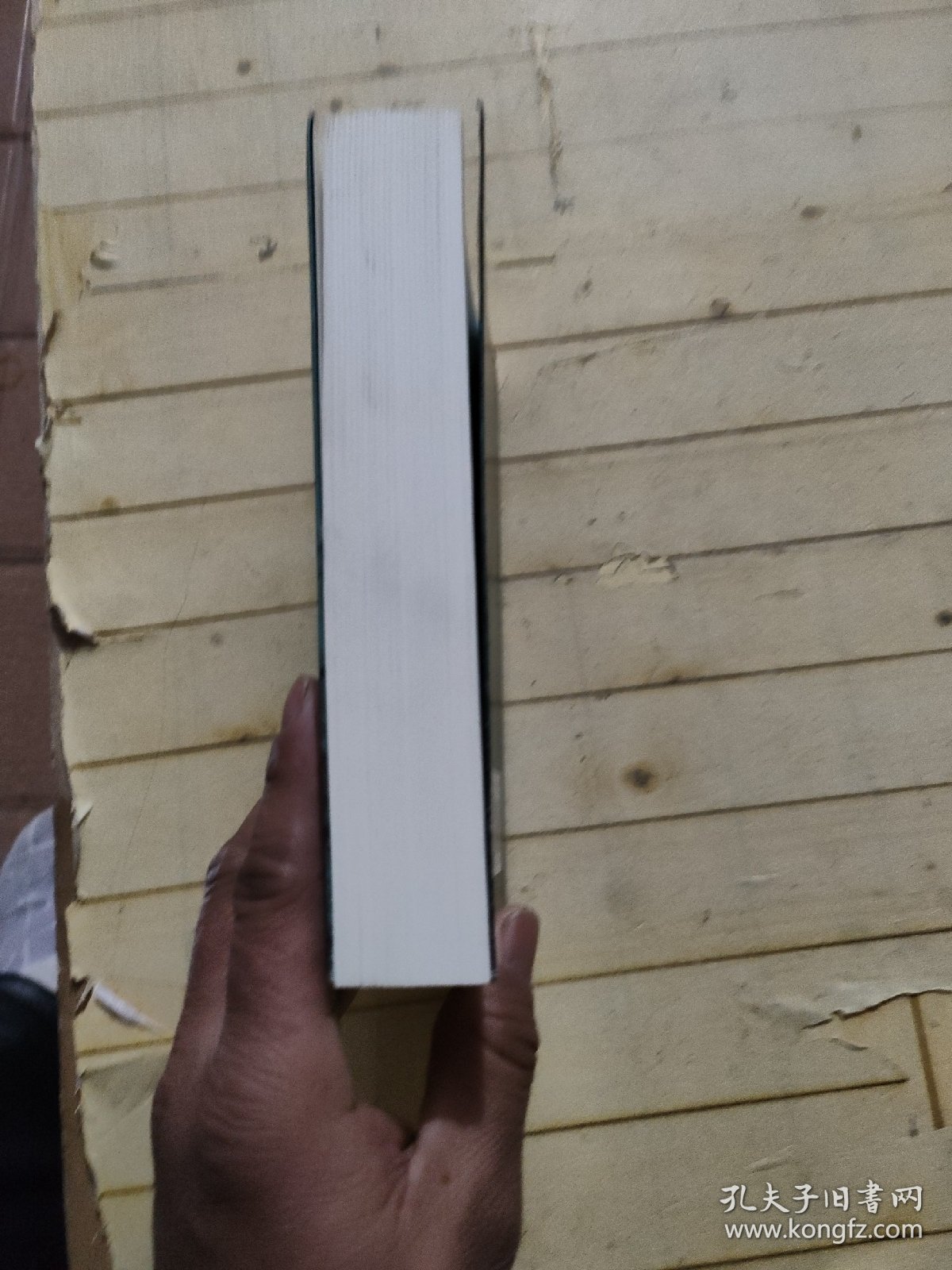 陀思妥耶夫斯基文集：鬼