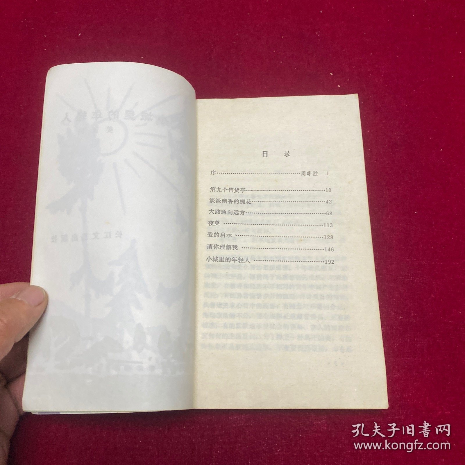 小城里的年轻人