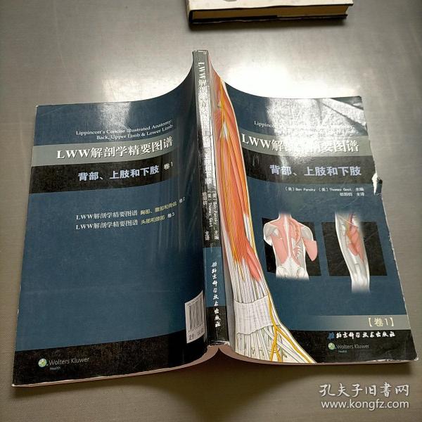 LWW解剖学精要图谱：背部、上肢和下肢