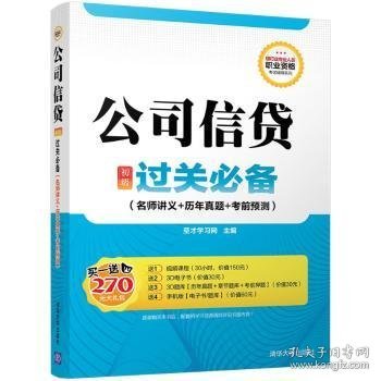 银行业专业人员职业资格考试辅导系列：公司信贷（初级）过关必备（名师讲义+历年真题+考前预测）