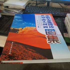 准噶尔盆地周边典型露头剖面图集