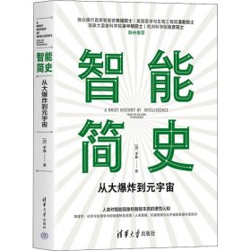 【正版书籍】智能简史从大爆炸到元宇宙