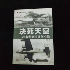 决死天空：二战末期德国昼间空战