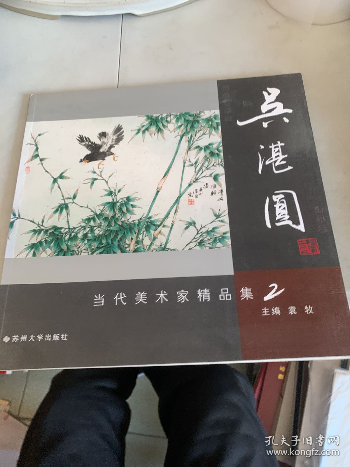 吴湛园  当代美术家精品集2