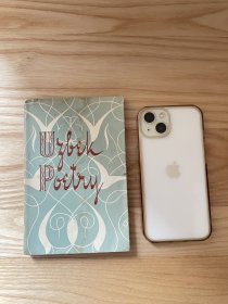 A Few Words On UZBEK Poetry 精致小书 英文诗集类 手机为大小对比非售