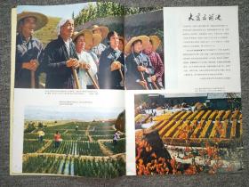 民族画报  1974年 第4期