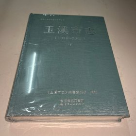 玉溪市志 下 未拆封