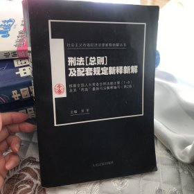 刑法（总则）及配套规定新释新解