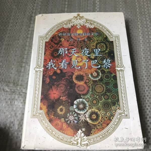 那天夜里，我看见了巴黎