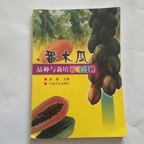 番木瓜品种与栽培彩色图说