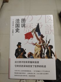 图说法国史（法兰西不仅有荣耀和浪漫，它的历史还深刻改变了世界的轨迹）