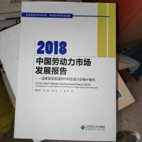 2018中国劳动力市场发展报告：高质量发展进程中的劳动力市场平衡性