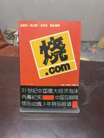 烧.com：21世纪中国最大经济泡沫内幕纪实