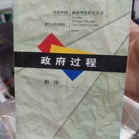 政府过程
