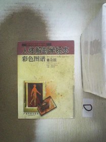 人体解剖学标本彩色图谱