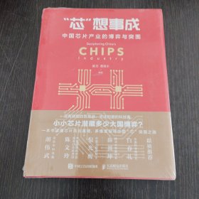 芯想事成 中国芯片产业的博弈与突围