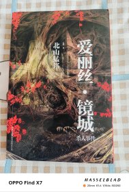 “爱丽丝·镜城”杀人事件