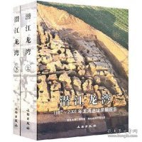 潜江龙湾：1987~2001年龙湾遗址发掘报告（全两册）