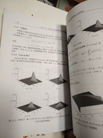 非线性科学丛书：非线性演化系统的符号计算方法