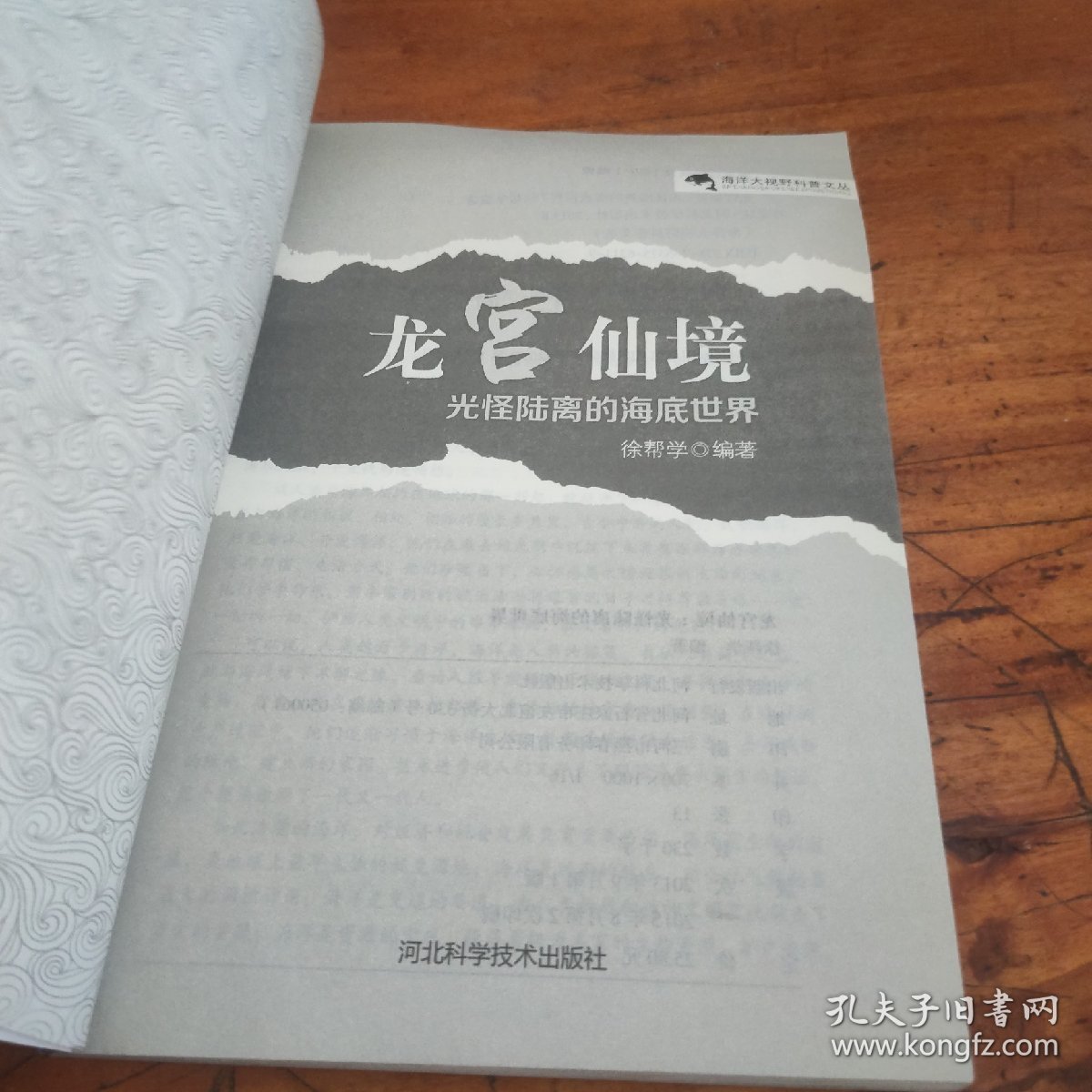 龙宫仙境 : 光怪陆离的海底世界