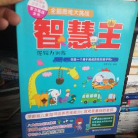 全脑思维大挑战:智慧王(逻辑力训练)中国少年儿童智力挑战全书