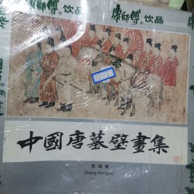 中国唐墓壁画集