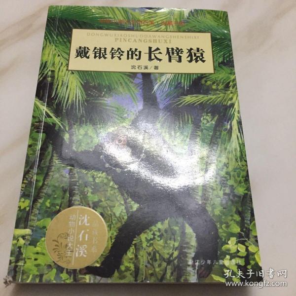 戴银铃的长臂猿