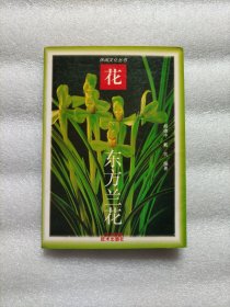 东方兰花