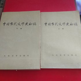 中国当代文学史初稿（上下册全）