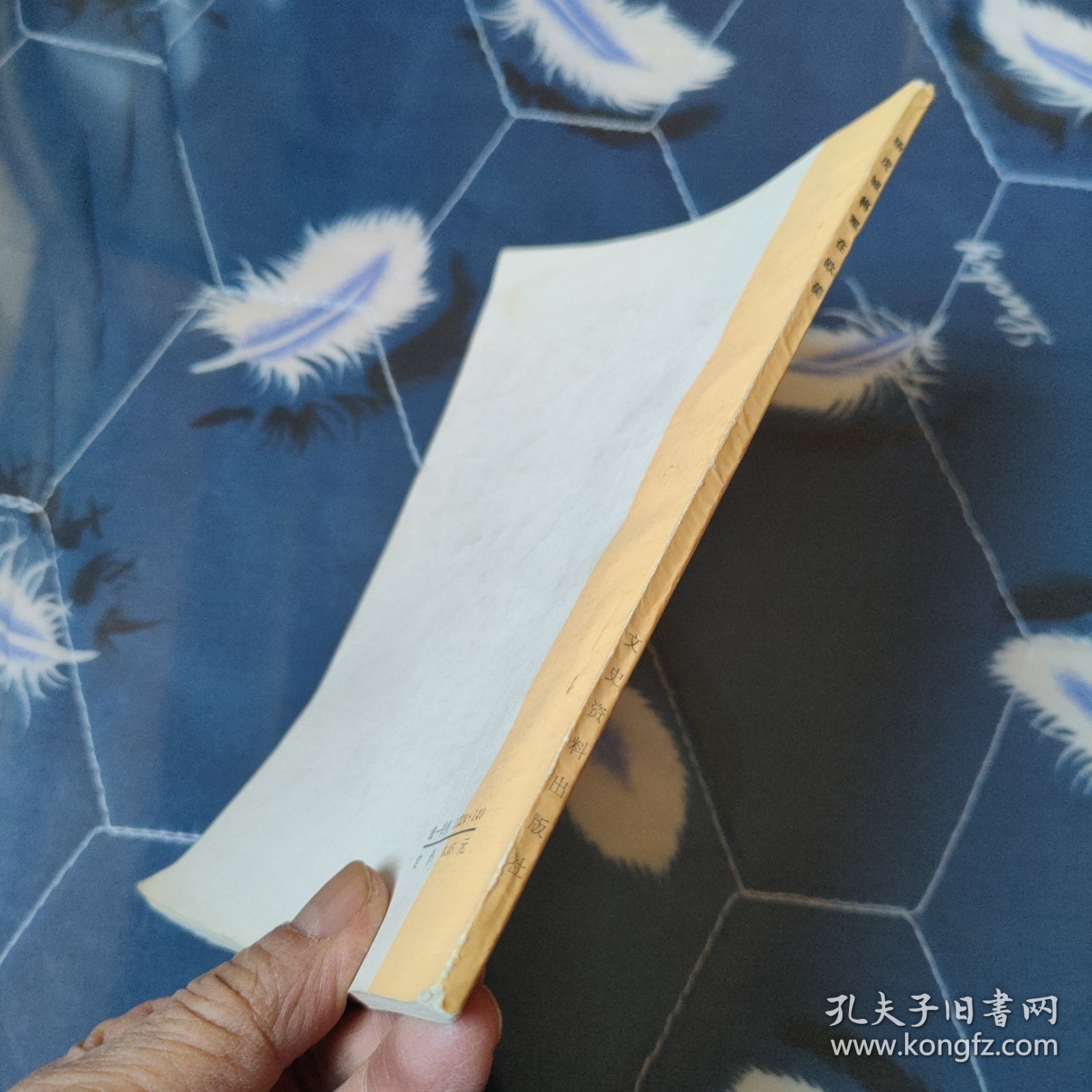 杨虎城将军在欧美