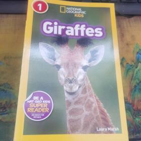 美国国家地理分级National Geographic KIDS 科普百科  21本合售  不重复   里面干净