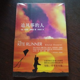 追风筝的人