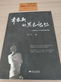 青春期的黑色记忆：中国都市少年犯罪深度调查