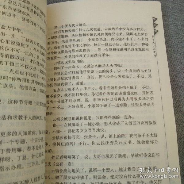 政治“荷尔蒙”:当代中国官场小说