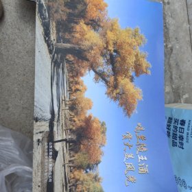 喝兰陵美酒赏大美风光 大量的新疆胡杨林风光摄影
