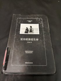 爱你就像爱生命（珍藏版）/王小波全集